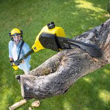Best Soil Testing and Treatment  in East Highland Park, VA