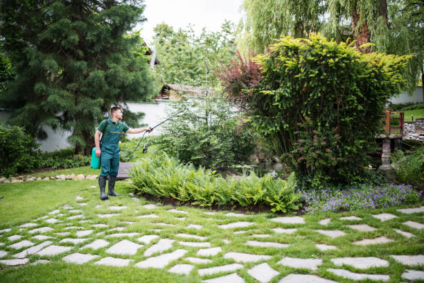  East Highland Park, VA Tree Services Pros